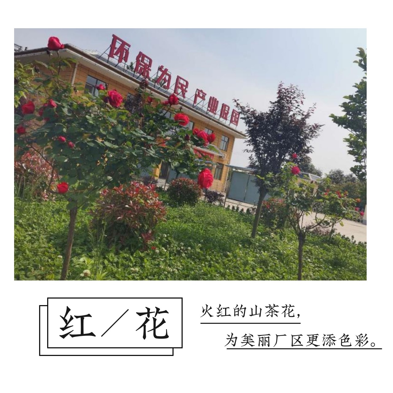 任你博·(中国)官方网站
