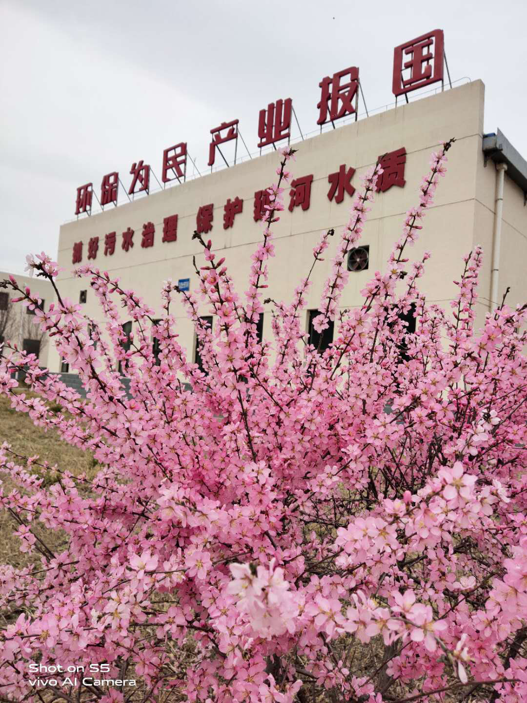 任你博·(中国)官方网站