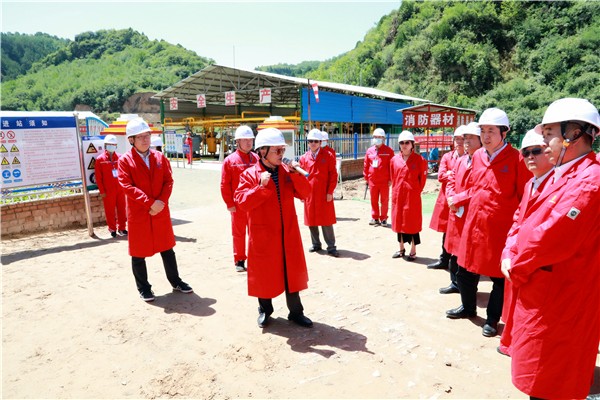 任你博集团复工复产促增添项目观摩聚会与会职员走进环保保隆生态三秦在延在铜项目