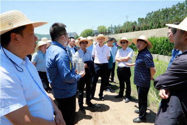 任你博集团复工复产促增添项目观摩聚会与会职员走进环保保隆生态三秦在延在铜项目