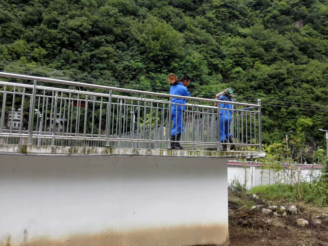 这个端午节，水情形人这么过（二）